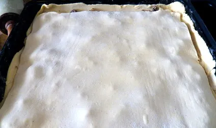 Закритий пиріг з грибами фото і рецепти з куркою, картоплею, сиром і фаршем (закритий) Закритий пиріг з грибами фото і рецепти з куркою, картоплею, сиром і фаршем