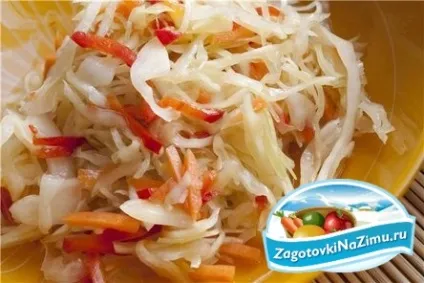 Закуска з капусти на зиму (капусти зиму може) Закуска з капусти на зиму