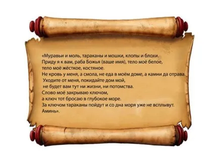 Змови молитви від тарганів в квартирі будинку як позбутися назавжди, відгуки (тарган змову молитва квартира) Змови молитви від тарганів в квартирі будинку як позбутися назавжди, відгуки