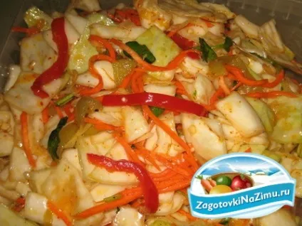 Закуска з капусти на зиму (закуска) Закуска з капусти на зиму