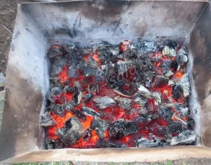 Закуски і салати