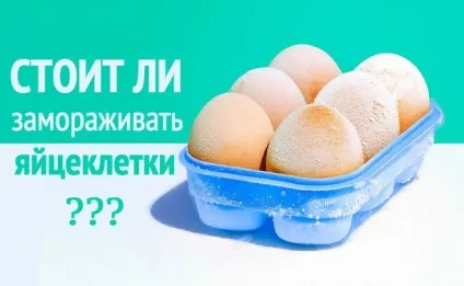 Заморозити яйцеклітину - ціна процедури для здоров'я жінки (яйцеклітину) Заморозити яйцеклітину - ціна процедури для здоров'я жінки