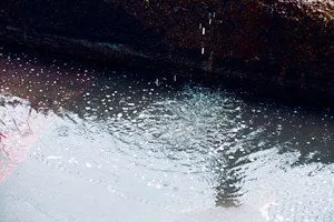 Жіночий пул дівчата на скейті (йти магазину кудись подалі) Жіночий пул дівчата на скейті