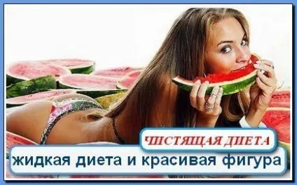 Рідка дієта, суть, різновиди, правила харчування (харчування) Рідка дієта, суть, різновиди, правила харчування