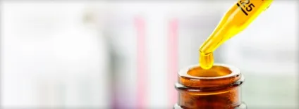 Жожоба масло для волосся застосування, корисні властивості і рецепти масок від випадіння та для росту волосся (жожоба масло для волосся) Жожоба масло для волосся застосування, корисні властивості і рецепти масок від випадіння та для росту волосся