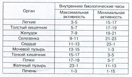 Життя по біогодин як використовувати добові біоритми з користю для себе (активно працює очищення організму) Життя по біогодин як використовувати добові біоритми з користю для себе