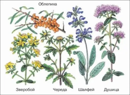 Зубна паста від запалення ясен вибираємо правильно (вибираємо) Зубна паста від запалення ясен вибираємо правильно
