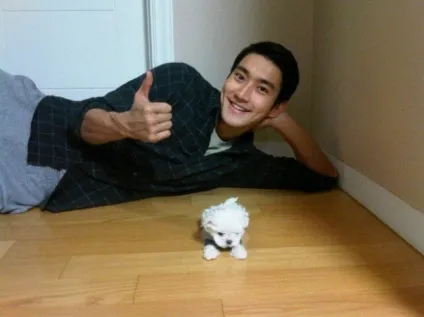 Знаменитості та їх улюблені - маленькі брати, yesasia (брати) Знаменитості та їх улюблені - маленькі брати, yesasia
