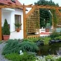 Аквілегія посадка і догляд, вирощування з насіння (догляд) Аквілегія посадка і догляд, вирощування з насіння