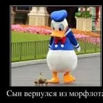 А що мені, власне, боятися дорогу - знаю, секс (секс) А що мені, власне, боятися дорогу - знаю, секс