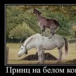А що мені, власне, боятися дорогу - знаю, секс (власне) А що мені, власне, боятися дорогу - знаю, секс