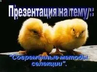 А як, як грамотно підготувати презентацію в powerpoint (презентація) А як, як грамотно підготувати презентацію в powerpoint