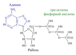 А що після смерті