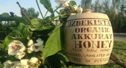 Аккураевий мед корисні властивості і протипоказання (властивості) Аккураевий мед корисні властивості і протипоказання