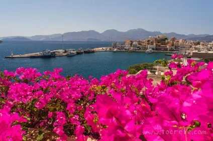 Агіос Ніколаос (agios nikolaos) - сайт про крите