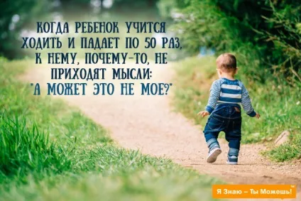7 Принципів, як виростити успішного дитини - 5 сфер (дитини) 7 Принципів, як виростити успішного дитини - 5 сфер