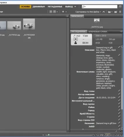 Adobe bridge і легка розстановка ключових слів в однотипних файлах - 1 березня 2015 - все про (bridge) Adobe bridge і легка розстановка ключових слів в однотипних файлах - 1 березня 2015 - все про