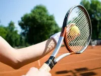 Анатомія ліктьового суглоба будова і захворювання ліктя (анатомія) Анатомія ліктьового суглоба будова і захворювання ліктя