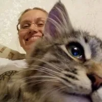 Алергія на кашу Нестле (гречана молочна) (на) Алергія на кашу Нестле (гречана молочна)
