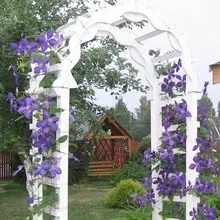 Арки в ландшафтному дизайні на дачі і в саду фото і опис (дизайні) Арки в ландшафтному дизайні на дачі і в саду фото і опис