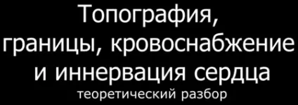 Анатомія нерви серця