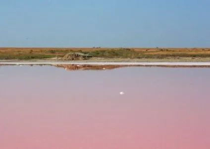Арабатська стрілка