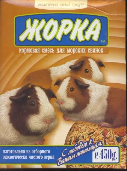 Англійська морська свинка, звірятко для дітей (англійська морська свинка) Англійська морська свинка, звірятко для дітей