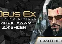 Авторитетна думка і соціальне програмування