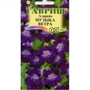 Азаріна вирощування з насіння, лазающая ліана (насіння) Азаріна вирощування з насіння, лазающая ліана