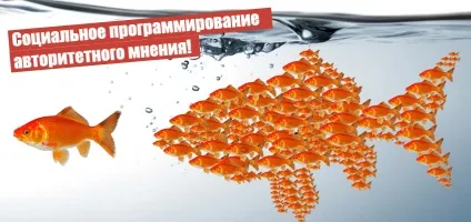 Авторитетна думка і соціальне програмування
