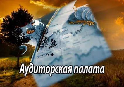 Аудиторська палата