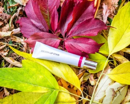 Beauty щоденник тест-драйв Тінта для губ cailyn cocoon lip stain, краса (cailyn) Beauty щоденник тест-драйв Тінта для губ cailyn cocoon lip stain, краса