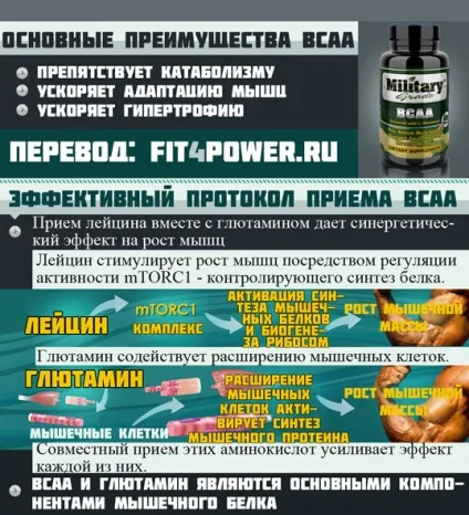 Bcaa наукові дослідження, ефективність, як приймати, інфографіка та факти (дослідження) Bcaa наукові дослідження, ефективність, як приймати, інфографіка та факти