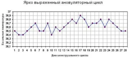 Безпечні дні від вагітності докладні способи розрахунку (Алгоритм визначення безпечних) Безпечні дні від вагітності докладні способи розрахунку