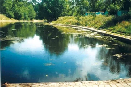 Біологічне очищення водойми, ландшафтний дизайн (вода) Біологічне очищення водойми, ландшафтний дизайн