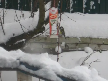 Бережи природу змолоду! Врятуємо нашу планету разом! (Природу) Бережи природу змолоду! Врятуємо нашу планету разом!