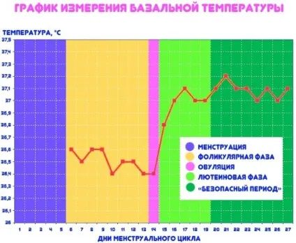 Безпечні дні від вагітності докладні способи розрахунку (безпечні дні від вагітності календар онлайн) Безпечні дні від вагітності докладні способи розрахунку