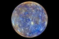 Британська курка, яка рахує до 8, 10 20, новини (новина британська курка) Британська курка, яка рахує до 8, 10 20, новини