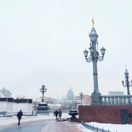 Брауні (Еріх Марія Ремарк «тіні в раю»), gingerpage