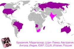 Чорний турмалін (шерл)