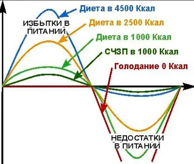 Чим корисний вакуумний масаж, жіноча сторінка (масаж) Чим корисний вакуумний масаж, жіноча сторінка