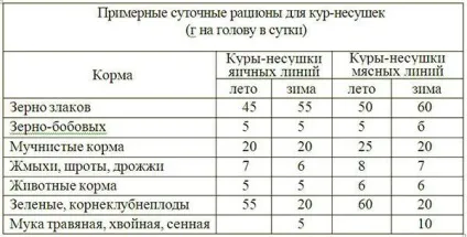 Чим годувати курей несучок щоб краще неслися в домашніх умовах, склад і норма корму, яку траву (домашніх) Чим годувати курей несучок щоб краще неслися в домашніх умовах, склад і норма корму, яку траву
