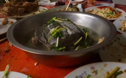 Черепаховий суп рецепт з фото