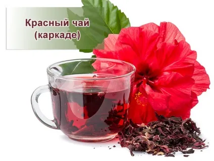 Чай каркаде підвищує або знижує тиск, як заварювати (підвищує) Чай каркаде підвищує або знижує тиск, як заварювати
