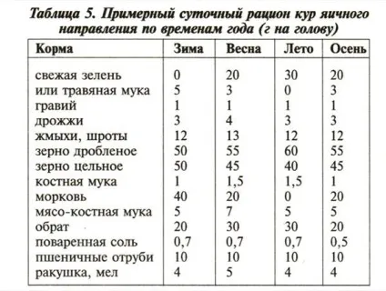 Чим годувати курей несучок щоб краще неслися в домашніх умовах, склад і норма корму, яку траву (несучок) Чим годувати курей несучок щоб краще неслися в домашніх умовах, склад і норма корму, яку траву