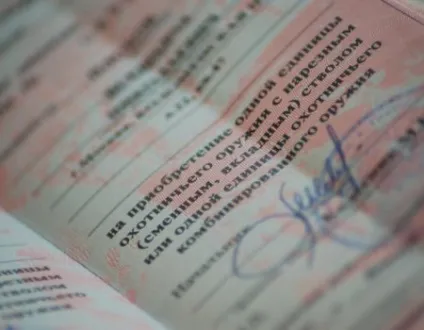 Чим відрізняється гладкоствольну зброю від нарізної (нарізної) Чим відрізняється гладкоствольну зброю від нарізної