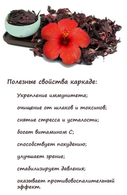 Чай каркаде підвищує або знижує тиск, як заварювати (підвищує) Чай каркаде підвищує або знижує тиск, як заварювати