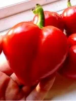 Що означає партенокарпический