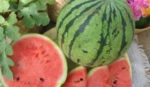 Що можна садити поруч з баштанними культурами (культура) Що можна садити поруч з баштанними культурами