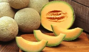 Що можна садити поруч з баштанними культурами (кавун) Що можна садити поруч з баштанними культурами